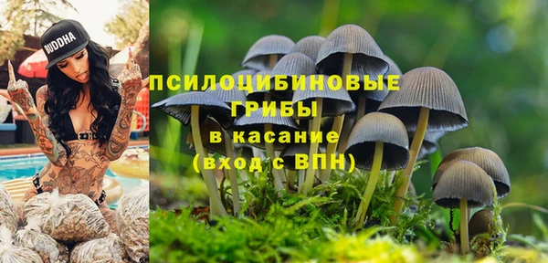 ALPHA-PVP Алексин