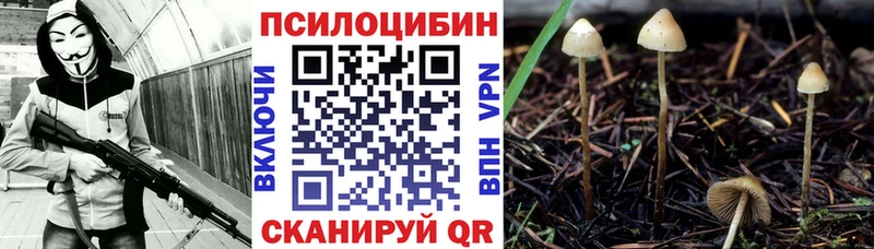 Галлюциногенные грибы мухоморы  Разумное 