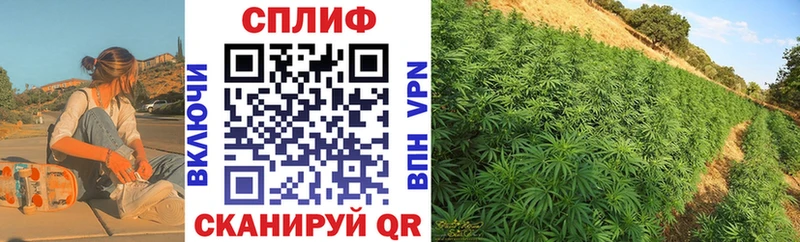 KRAKEN онион  Разумное  МАРИХУАНА тримм 